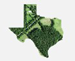 TX Natural Color Imagery