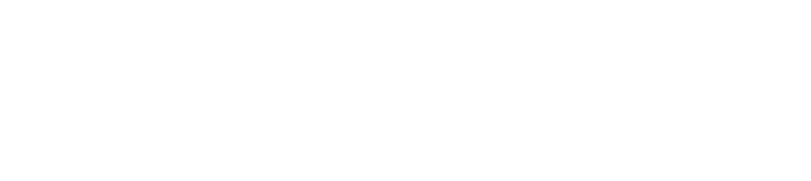 tfs logo