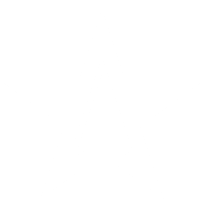 tfs logo